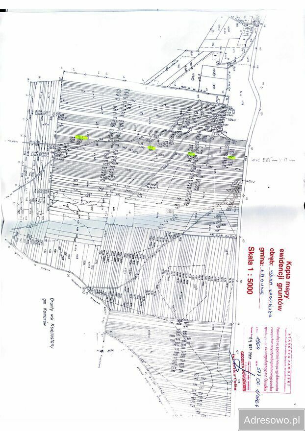 Działka leśna Wólka Łabuńska. Zdjęcie 2