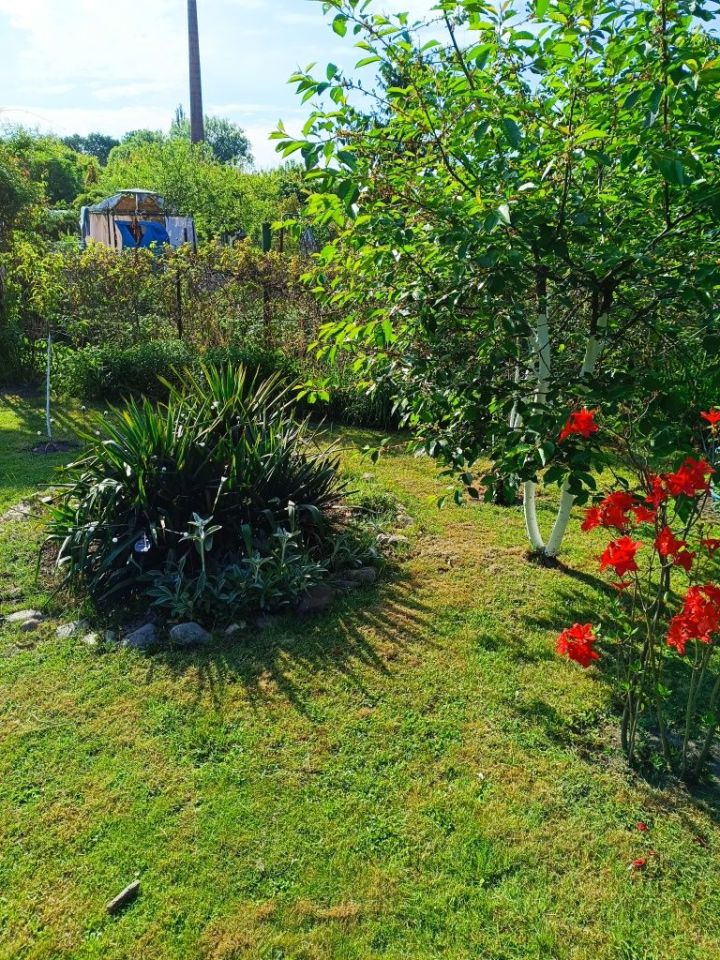 Działka rod Nysa, ul. Jana Zamoyskiego. Zdjęcie 5