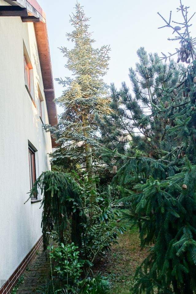 dom wolnostojący, 4 pokoje Szczecin Gumieńce, ul. Tyniecka. Zdjęcie 41