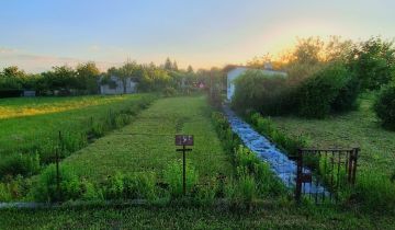 Działka rod Żary, ul. Pszenna