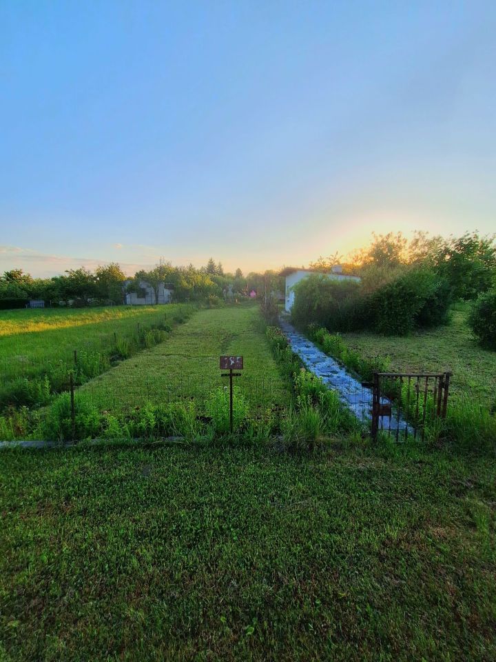 Działka rod Żary, ul. Pszenna. Zdjęcie 2