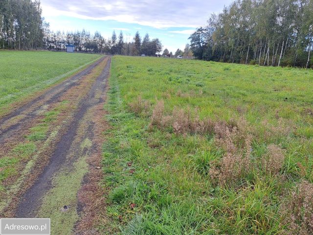 Działka budowlana Radomsko, ul. Spokojna. Zdjęcie 1