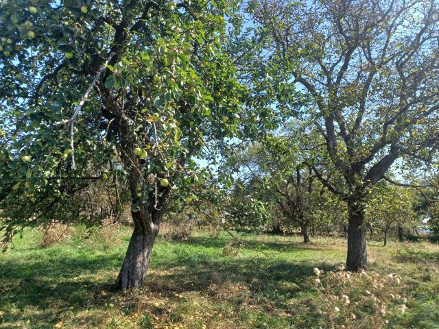 Działka rolno-budowlana Korczyna. Zdjęcie 4