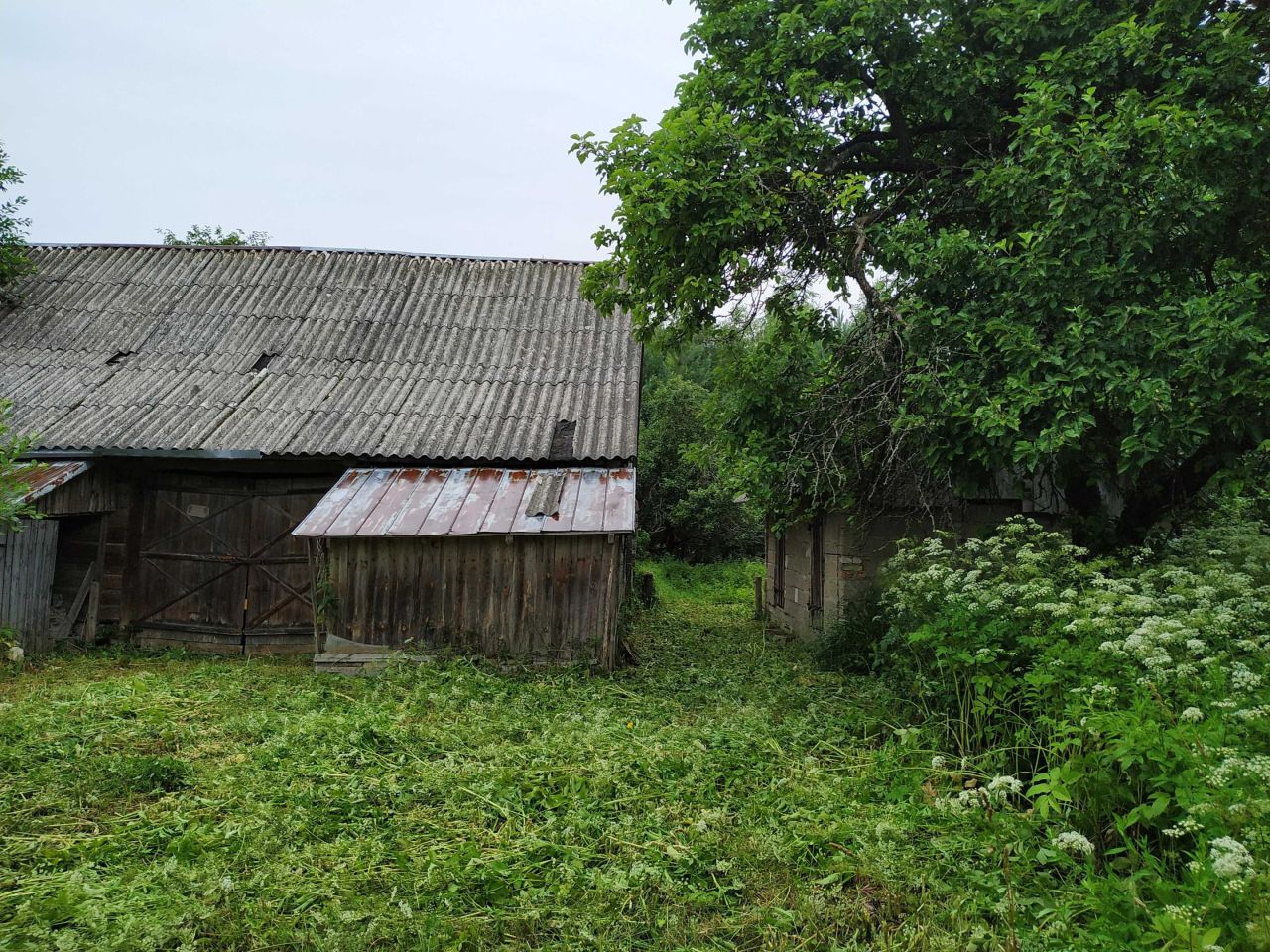Działka siedliskowa Kalwińszczyzna. Zdjęcie 6