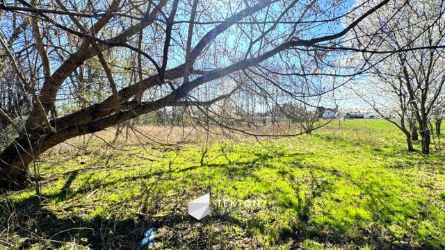 Działka budowlana Jaktorów, ul. Szaserów. Zdjęcie 6