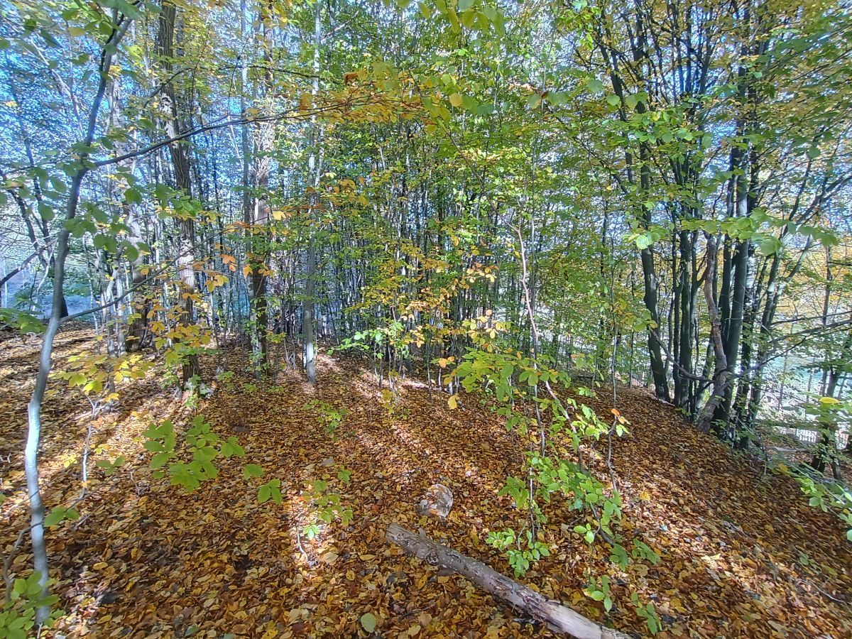 Działka budowlana Gromadzin, ul. Źródlana. Zdjęcie 10