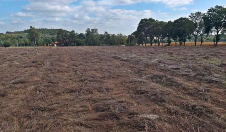 Działka budowlana Parzeń-Janówek