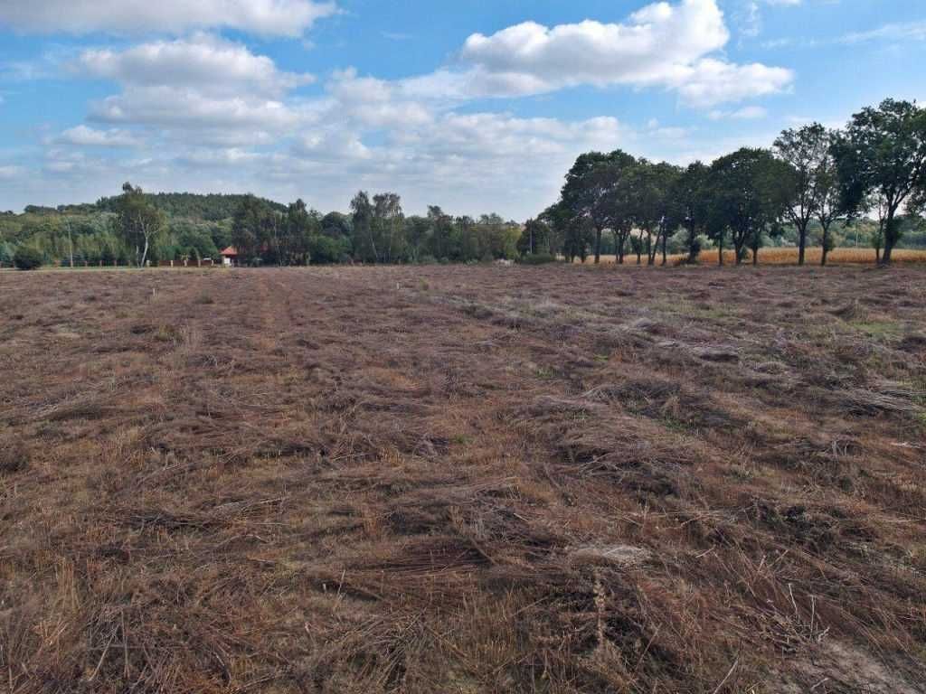 Działka budowlana Parzeń-Janówek