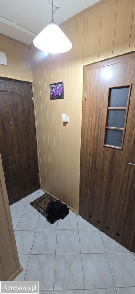 Mieszkanie 1-pokojowe Tychy, ul. Elfów. Zdjęcie 15