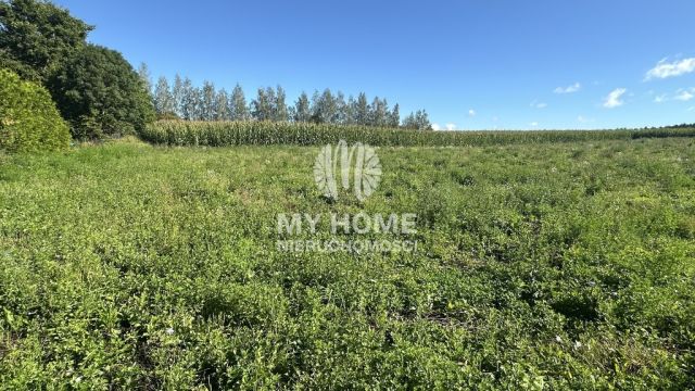 Działka Dłużec. Zdjęcie 2