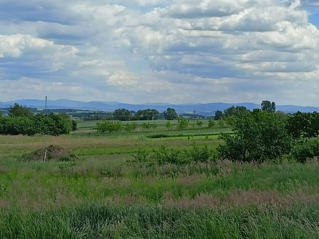 Działka budowlana Rybna, ul. Na Morgi. Zdjęcie 1
