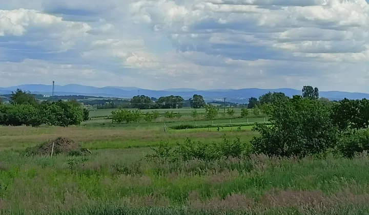 Działka budowlana Rybna, ul. Na Morgi