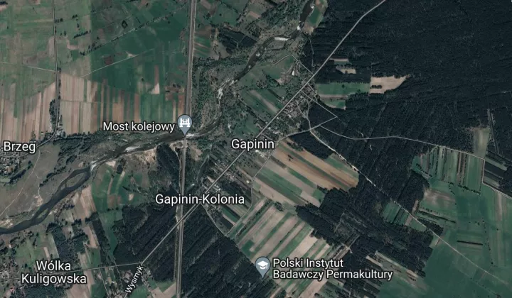 Działka leśna Gapinin