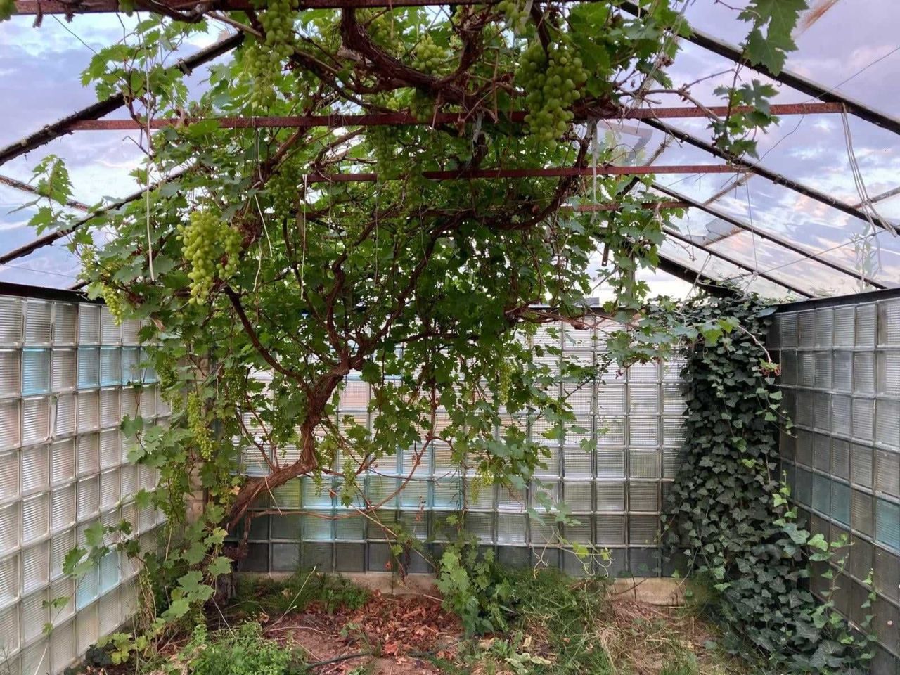 Działka rod Niekłonice. Zdjęcie 4