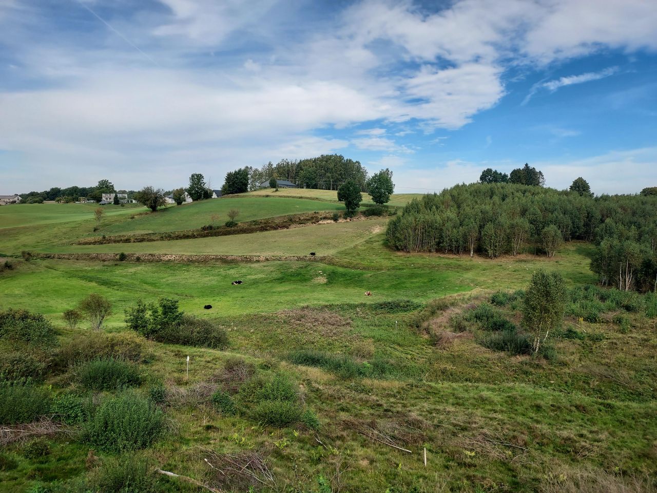 Działka budowlana Szemud, ul. Nowiny. Zdjęcie 3
