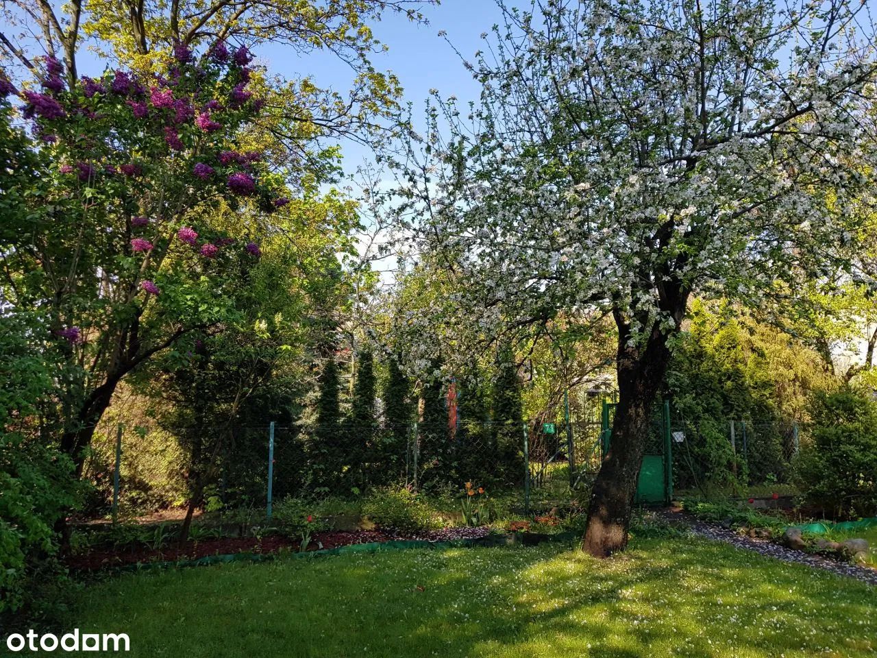 Działka rod Warszawa Śródmieście. Zdjęcie 4