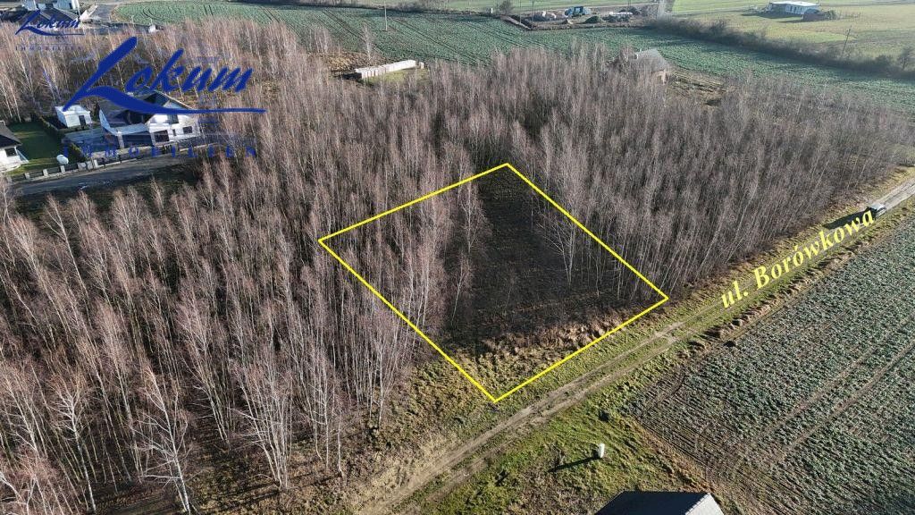 Działka inwestycyjna Lipno, ul. Borówkowa. Zdjęcie 2