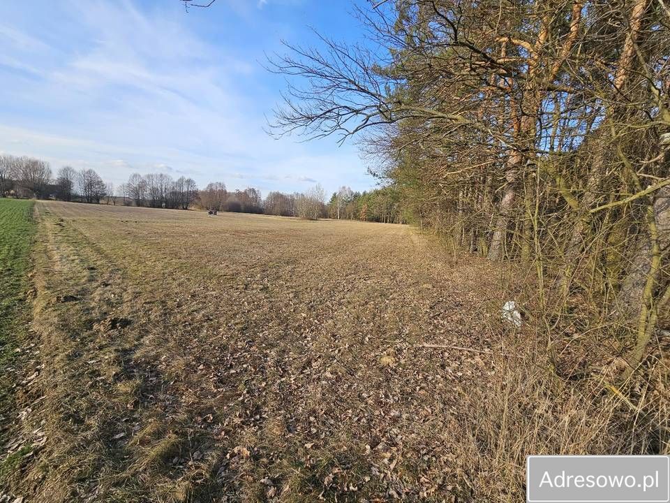 Działka rolna Kolonia Rozniszew. Zdjęcie 10