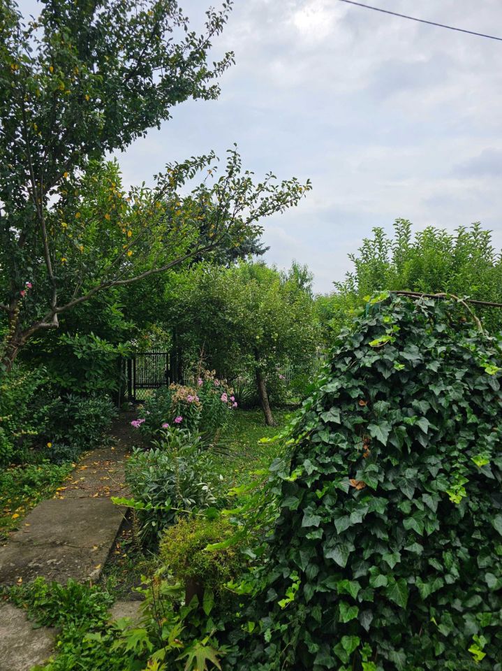 Działka rod Michałów-Reginów, ul. Warszawska. Zdjęcie 6