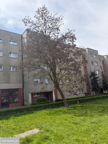 Mieszkanie 3-pokojowe Chorzów Klimzowiec, ul. Józefa Ryszki. Zdjęcie 1