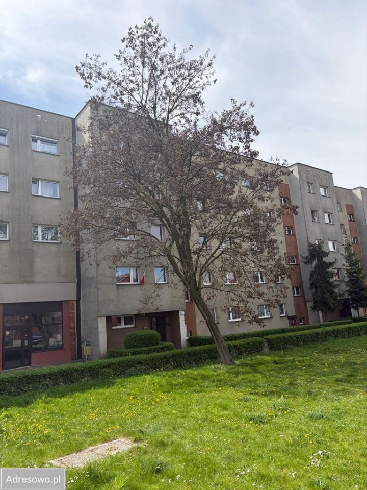 Mieszkanie 3-pokojowe Chorzów Klimzowiec, ul. Józefa Ryszki. Zdjęcie 1