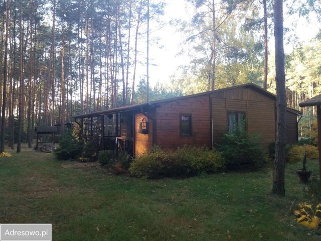 Działka leśna Słowak. Zdjęcie 1