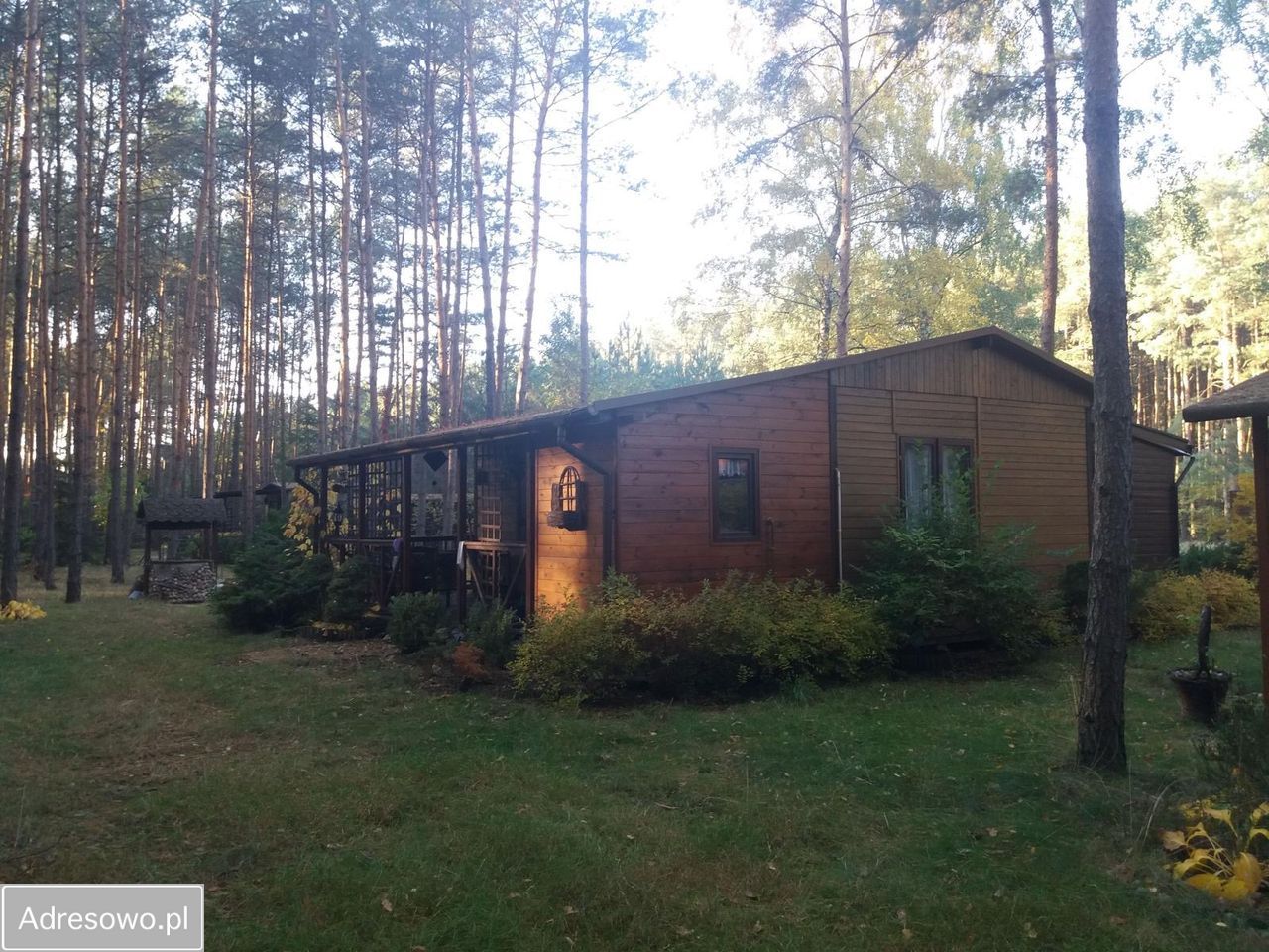 Działka leśna Słowak