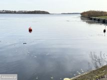 Działka rolna Sierosław. Zdjęcie 1