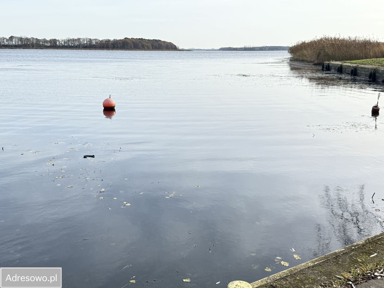 Działka rolna Sierosław. Zdjęcie 2