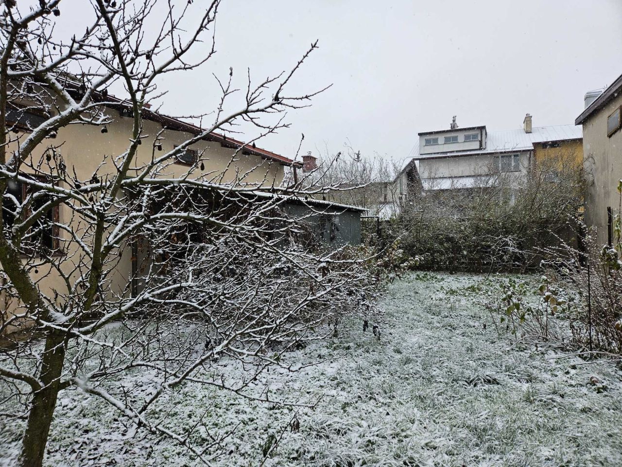 bliźniak Żyrardów. Zdjęcie 2