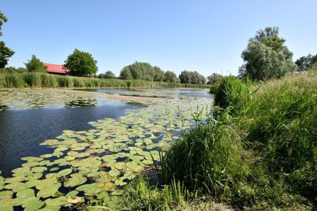 dom wolnostojący, 2 pokoje Markusy. Zdjęcie 8