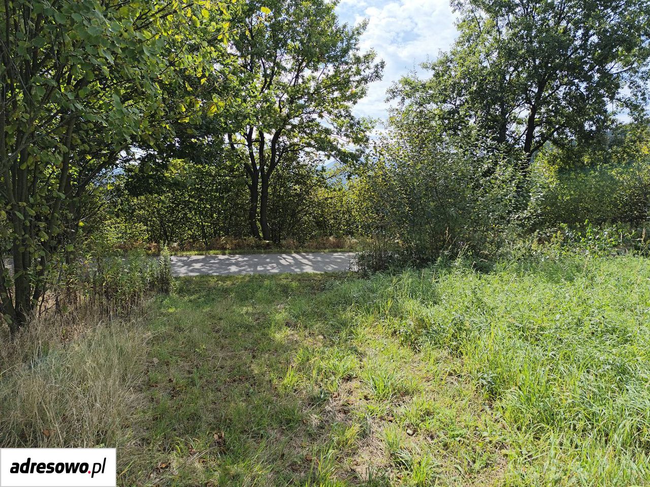 Działka budowlana Piaski-Drużków Chabalina. Zdjęcie 8