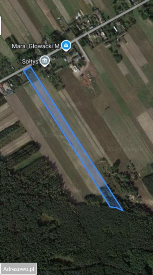 Działka rolna Anielin. Zdjęcie 3