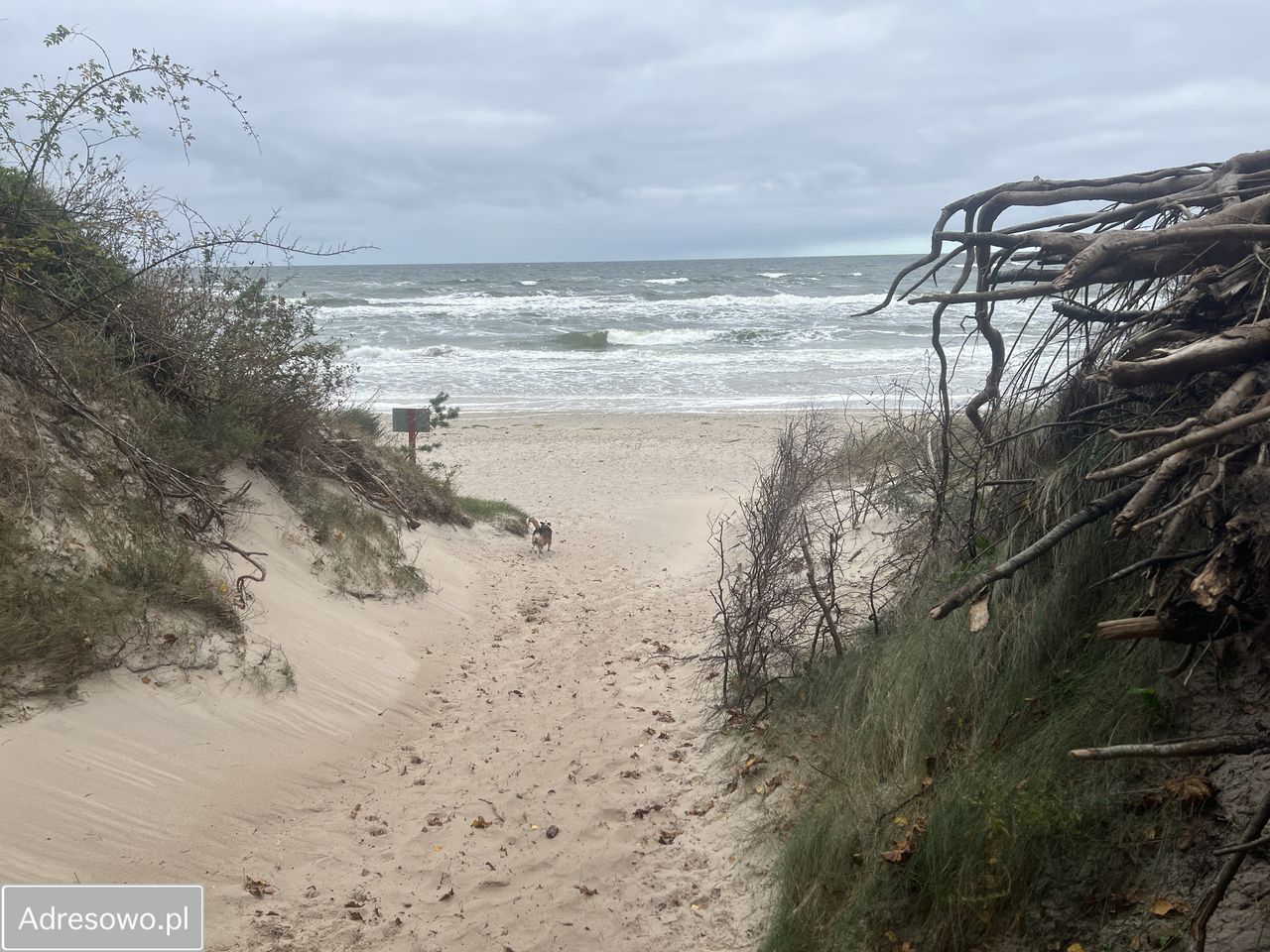 Działka rekreacyjna Łukęcin. Zdjęcie 3