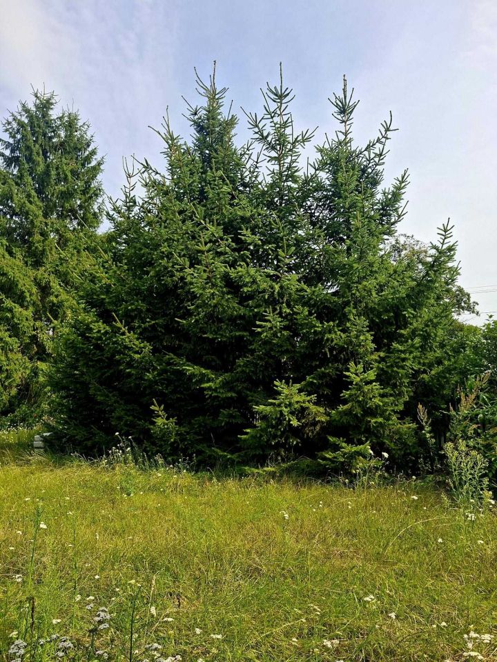 Działka budowlana Rogowo. Zdjęcie 7