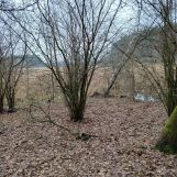 Działka rolna Łapinóż. Zdjęcie 3