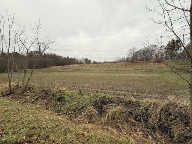 Działka rolna Orłów Murowany-Kolonia. Zdjęcie 1