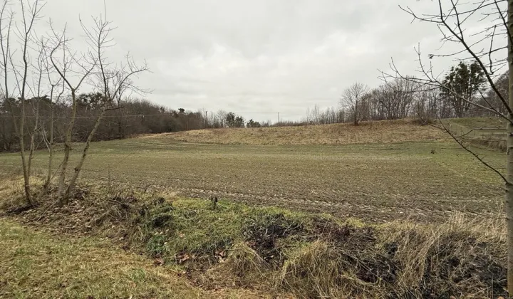 Działka rolna Orłów Murowany-Kolonia