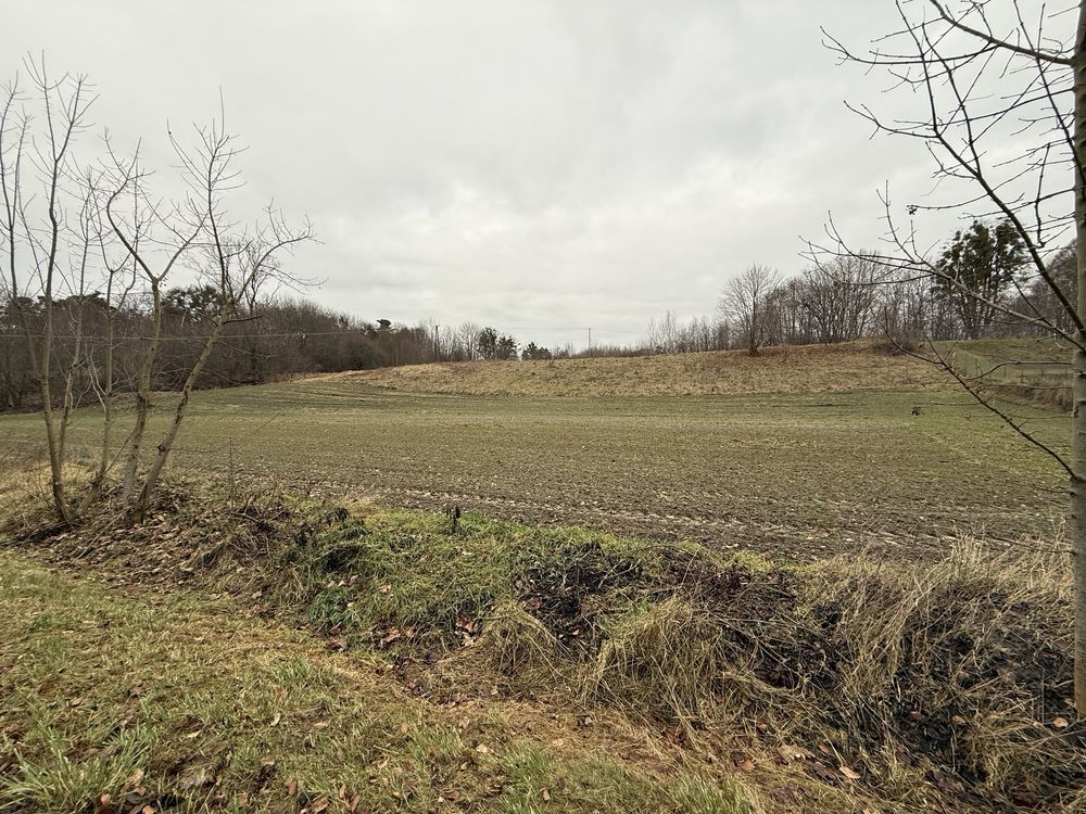 Działka rolna Orłów Murowany-Kolonia. Zdjęcie 1