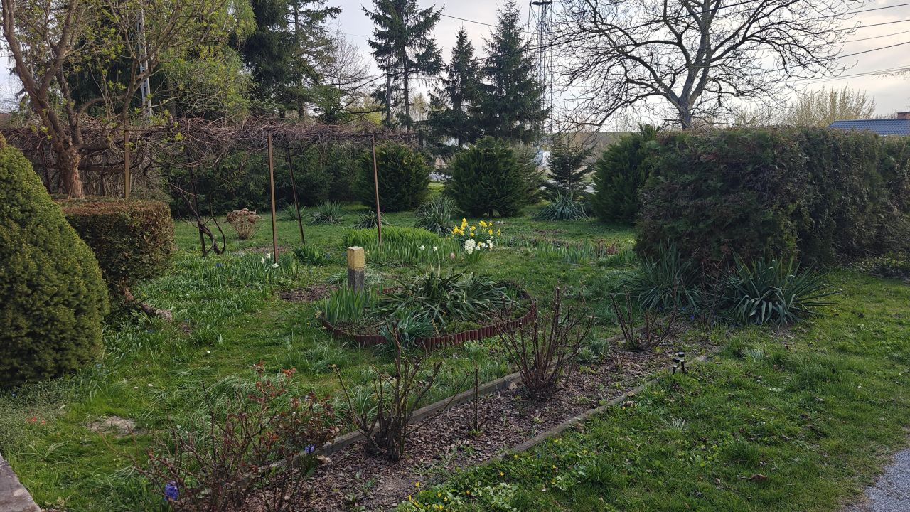 dom wolnostojący, 3 pokoje Oficjałów. Zdjęcie 23