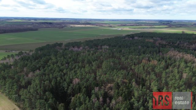 Działka budowlana Niemierze. Zdjęcie 7