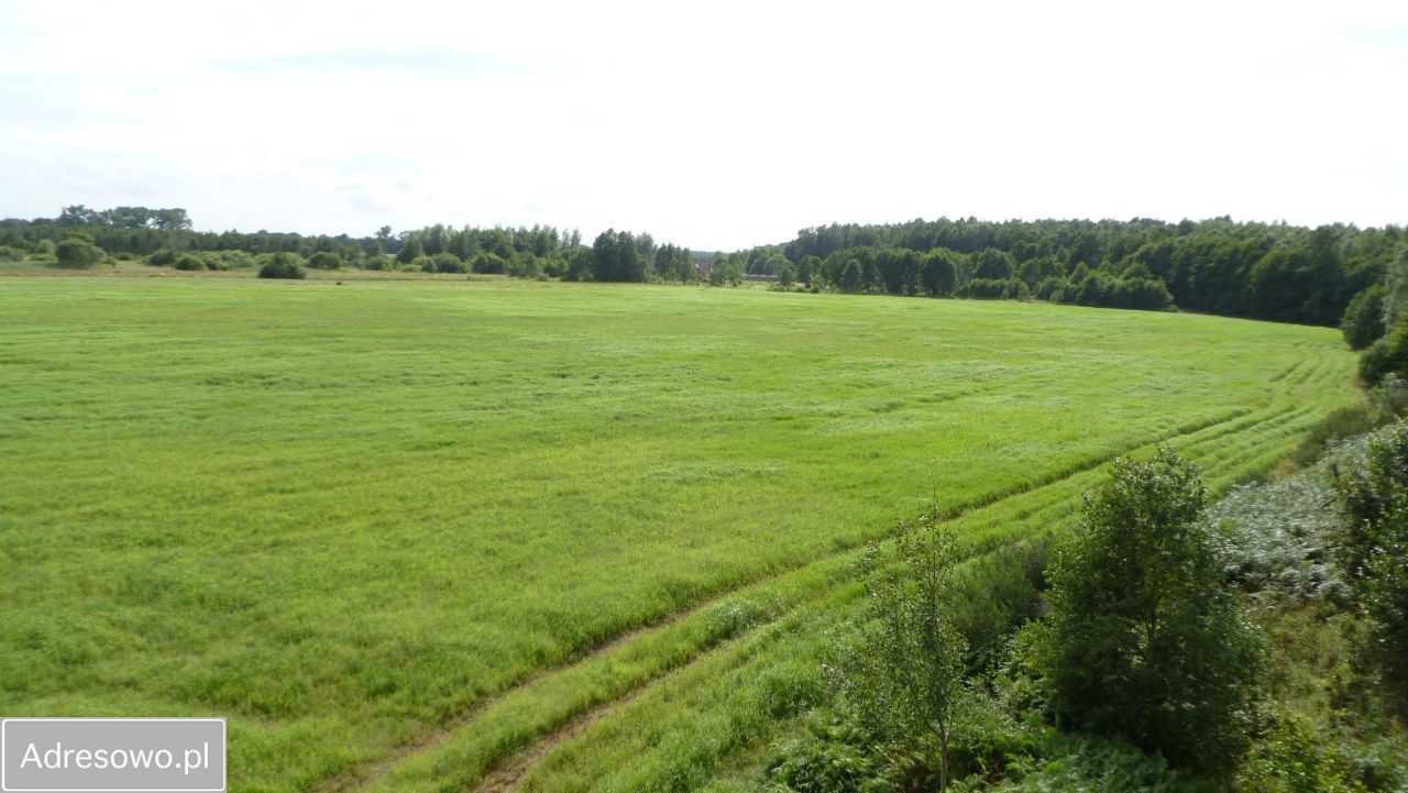 Działka rekreacyjna Kierzkowo. Zdjęcie 4
