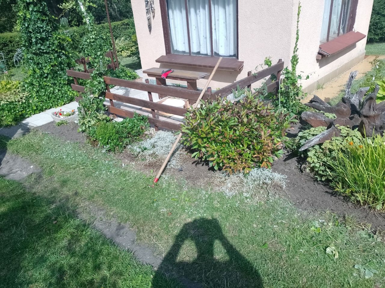 Działka rekreacyjna Wąbrzeźno, ul. Towarzystwa Jaszczurczego