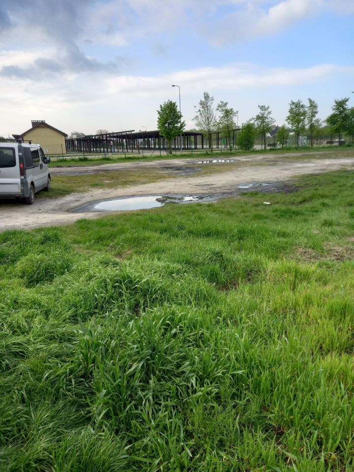 Działka budowlana Rogoźno, ul. Nowa. Zdjęcie 6