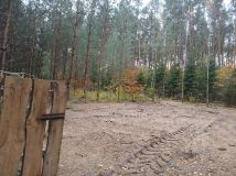 Działka leśna Jankowo-Młodzianowo. Zdjęcie 2