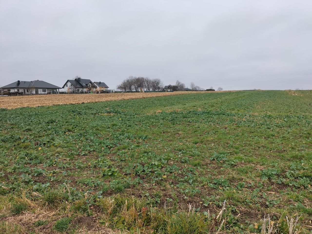 Działka budowlana Morawsko. Zdjęcie 7