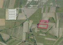 Działka rolna Cerekiew. Zdjęcie 2