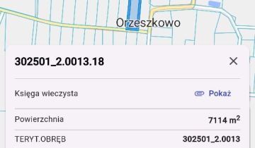 Działka rolno-budowlana Orzeszkowo