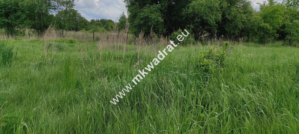 Działka budowlana Wólka. Zdjęcie 6