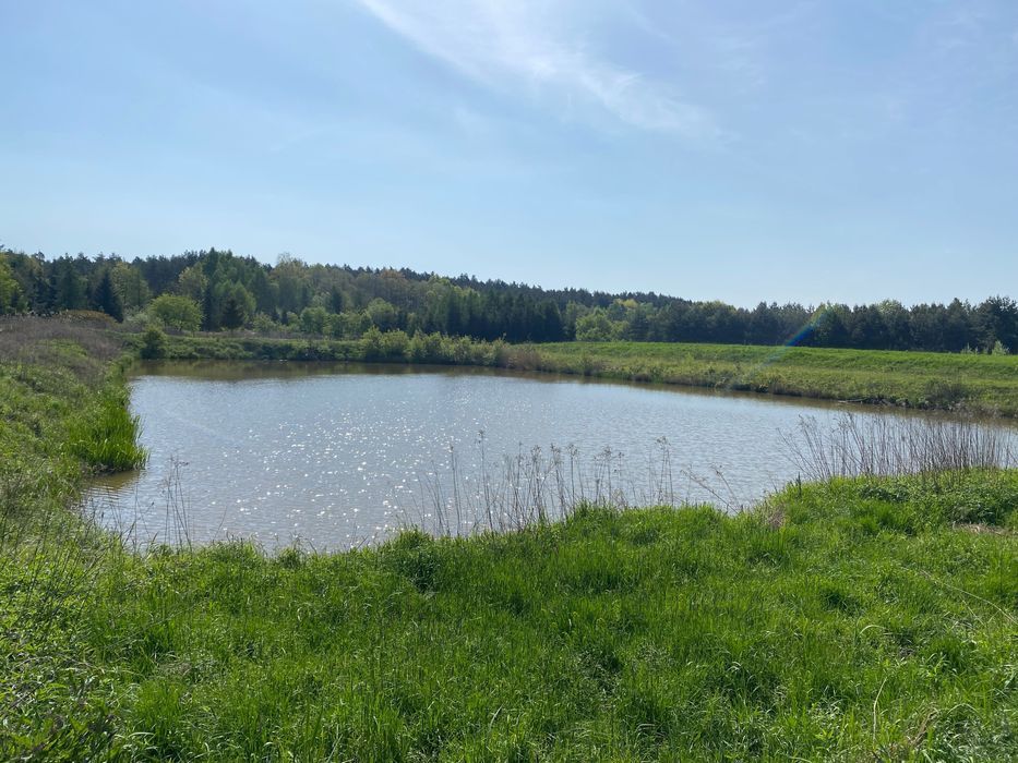 Działka rekreacyjna Leżachów. Zdjęcie 5